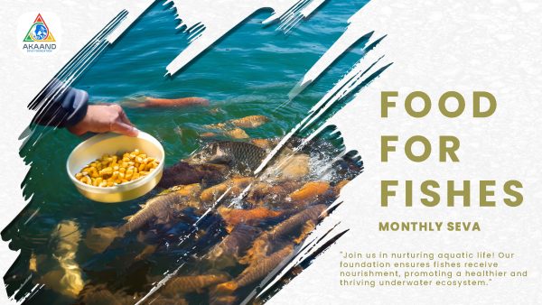 Food for Fish - Image 2