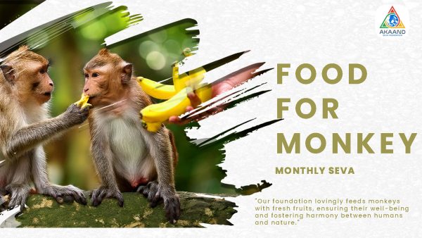 Food for Monkeys - Image 2