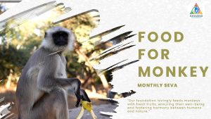 food-for-monkeys