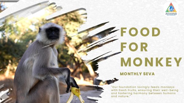 Food for Monkeys